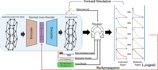 Figure 1 for ReMiDi: Reconstruction of Microstructure Using a Differentiable Diffusion MRI Simulator