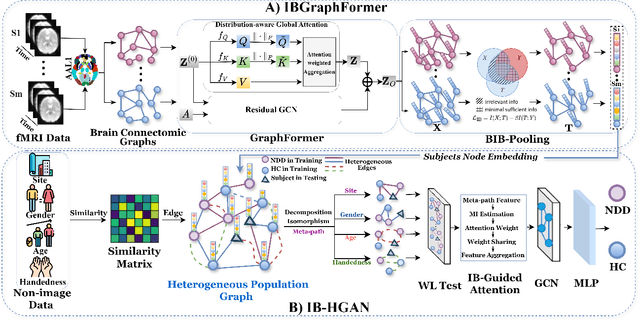 Figure 1 for Information Bottleneck-Guided Heterogeneous Graph Learning for Interpretable Neurodevelopmental Disorder Diagnosis