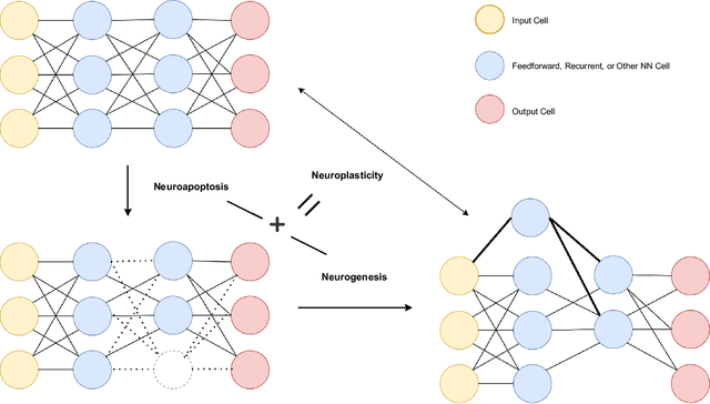 Figure 1 for Neuroplasticity in Artificial Intelligence -- An Overview and Inspirations on Drop In \& Out Learning