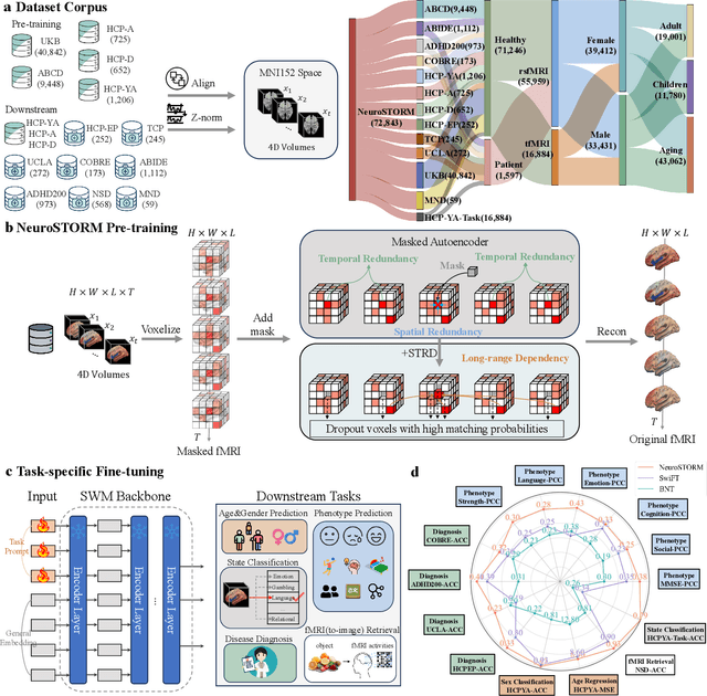Figure 1 for Towards a general-purpose foundation model for fMRI analysis