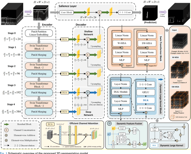 Figure 1 for 3D Deep-learning-based Segmentation of Human Skin Sweat Glands and Their 3D Morphological Response to Temperature Variations