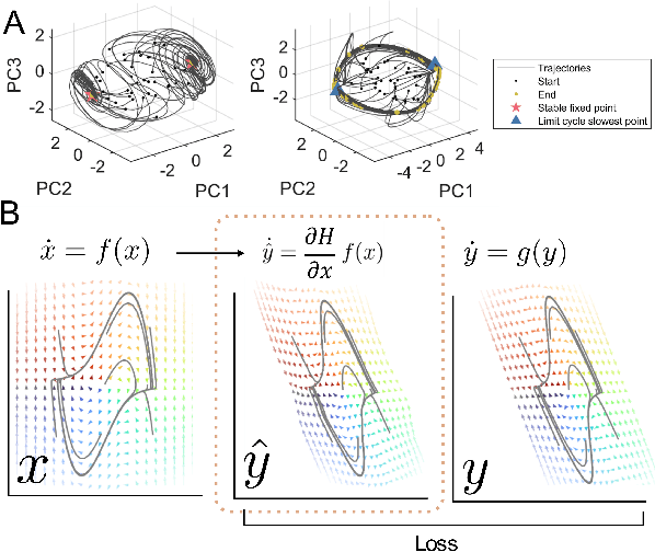 Figure 1 for DFORM: Diffeomorphic vector field alignment for assessing dynamics across learned models