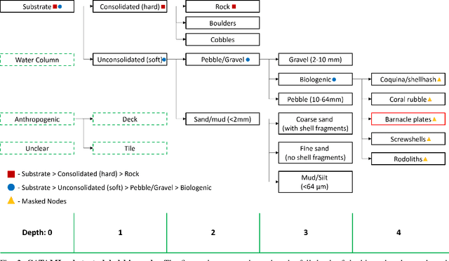 Figure 2 for Hierarchical Multi-Label Classification with Missing Information for Benthic Habitat Imagery