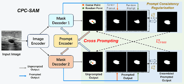 Figure 1 for Cross Prompting Consistency with Segment Anything Model for Semi-supervised Medical Image Segmentation