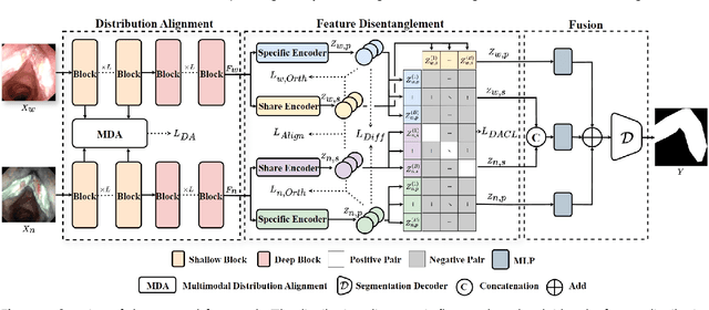 Figure 3 for Multimodal Medical Endoscopic Image Analysis via Progressive Disentangle-aware Contrastive Learning