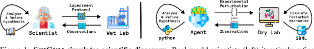 Figure 1 for Measuring Scientific Capabilities of Language Models with a Systems Biology Dry Lab