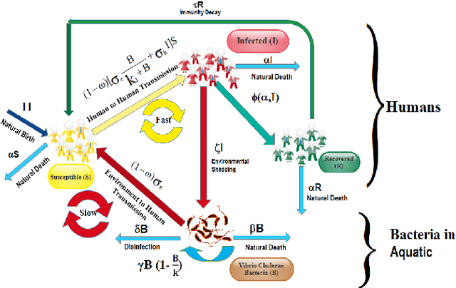 Figure 1 for Developing cholera outbreak forecasting through qualitative dynamics: Insights into Malawi case study
