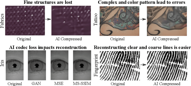Figure 1 for Trustworthy Compression? Impact of AI-based Codecs on Biometrics for Law Enforcement