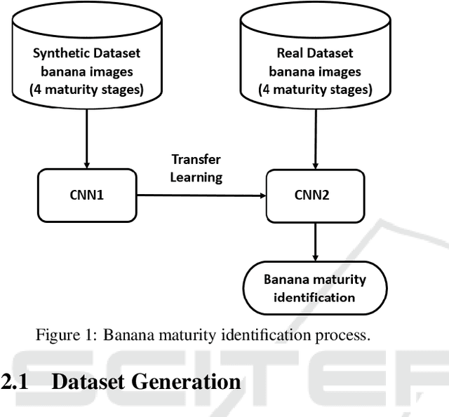 Figure 1 for Banana Ripeness Level Classification using a Simple CNN Model Trained with Real and Synthetic Datasets
