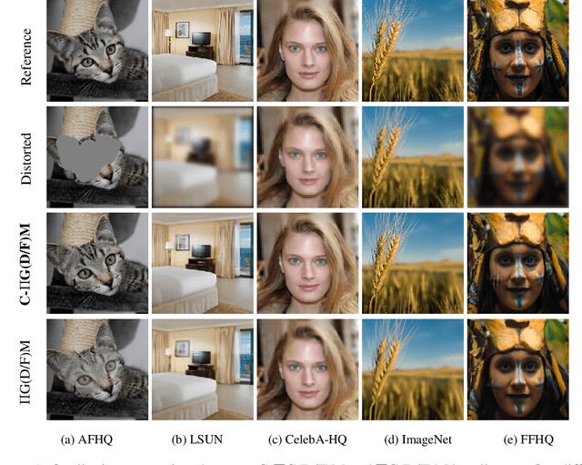 Figure 2 for Fast Samplers for Inverse Problems in Iterative Refinement Models