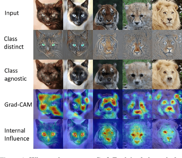 Figure 1 for DXAI: Explaining Classification by Image Decomposition