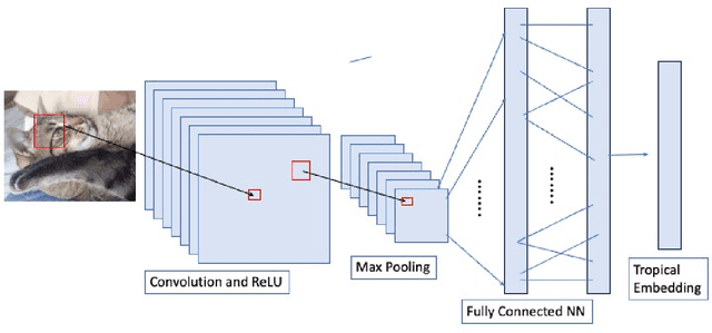 Figure 1 for Tropical Bisectors and Carlini-Wagner Attacks