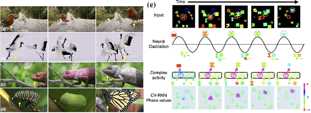 Figure 1 for Tracking objects that change in appearance with phase synchrony