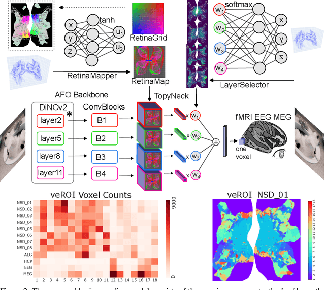 Figure 3 for Retinotopy Inspired Brain Encoding Model and the All-for-One Training Recipe