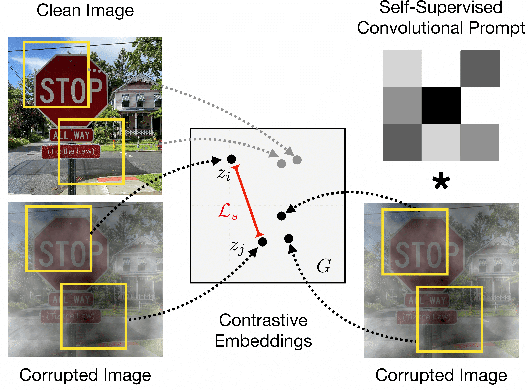 Figure 1 for Self-Supervised Convolutional Visual Prompts