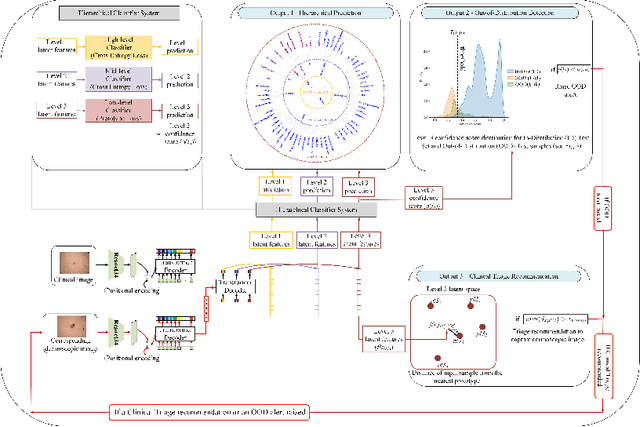 Figure 1 for Revamping AI Models in Dermatology: Overcoming Critical Challenges for Enhanced Skin Lesion Diagnosis