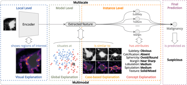 Figure 1 for MERA: Multimodal and Multiscale Self-Explanatory Model with Considerably Reduced Annotation for Lung Nodule Diagnosis