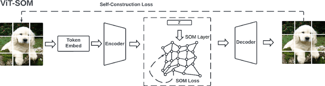 Figure 2 for Simple Self Organizing Map with Visual Transformer