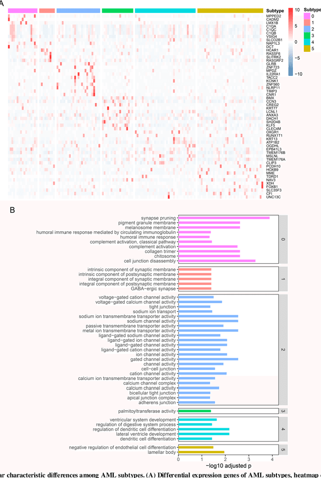Figure 4 for Multi-Head Attention Mechanism Learning for Cancer New Subtypes and Treatment Based on Cancer Multi-Omics Data