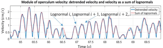 Figure 2 for From operculum and body tail movements to different coupling of physical activity and respiratory frequency in farmed gilthead sea bream and European sea bass. Insights on aquaculture biosensing