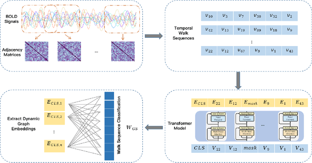 Figure 1 for ASD Classification on Dynamic Brain Connectome using Temporal Random Walk with Transformer-based Dynamic Network Embedding