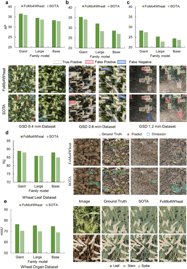 Figure 4 for FoMo4Wheat: Toward reliable crop vision foundation models with globally curated data