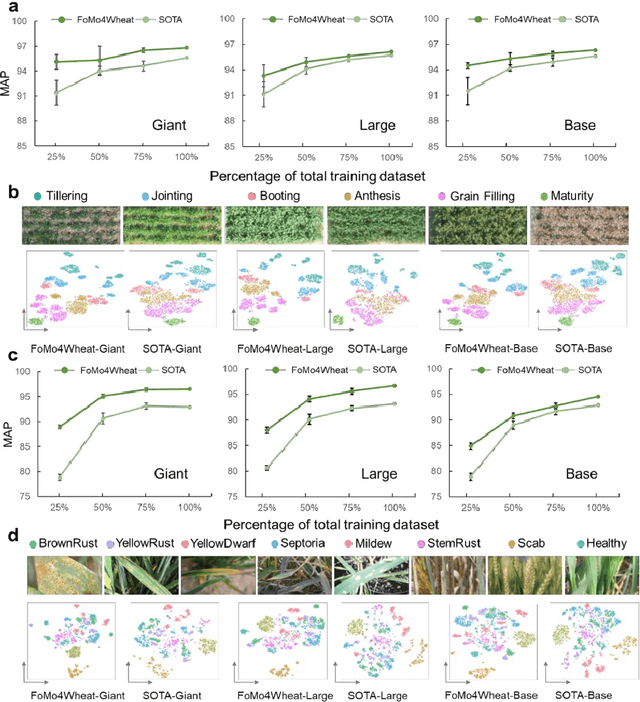 Figure 3 for FoMo4Wheat: Toward reliable crop vision foundation models with globally curated data