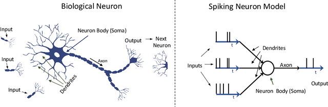 Figure 1 for Real-Time Neuromorphic Navigation: Guiding Physical Robots with Event-Based Sensing and Task-Specific Reconfigurable Autonomy Stack