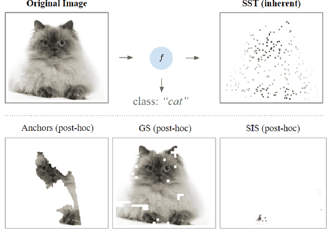 Figure 1 for Explain Yourself, Briefly! Self-Explaining Neural Networks with Concise Sufficient Reasons