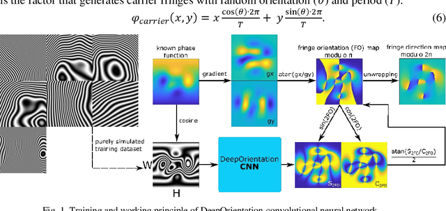 Figure 1 for DeepOrientation: convolutional neural network for fringe pattern orientation map estimation