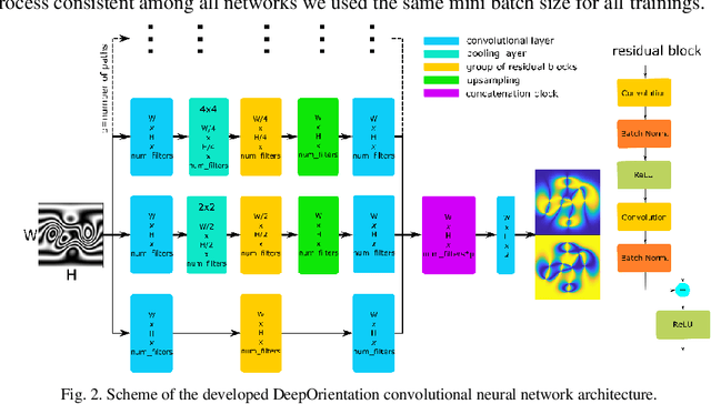 Figure 3 for DeepOrientation: convolutional neural network for fringe pattern orientation map estimation