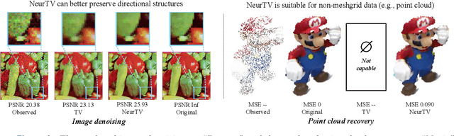 Figure 1 for NeurTV: Total Variation on the Neural Domain