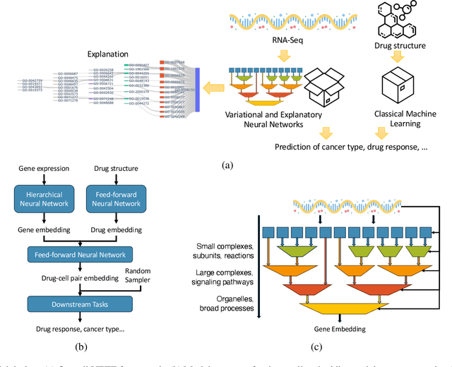 Figure 1 for Variational and Explanatory Neural Networks for Encoding Cancer Profiles and Predicting Drug Responses