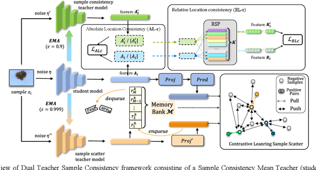 Figure 2 for Judge Like a Real Doctor: Dual Teacher Sample Consistency Framework for Semi-supervised Medical Image Classification