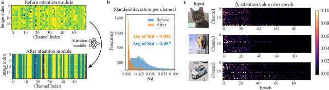 Figure 3 for ASR: Attention-alike Structural Re-parameterization
