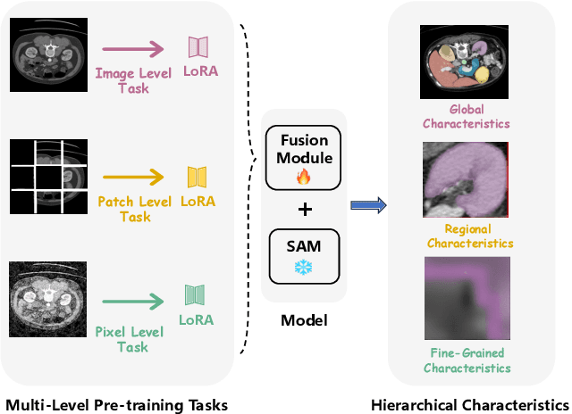 Figure 1 for SAMora: Enhancing SAM through Hierarchical Self-Supervised Pre-Training for Medical Images