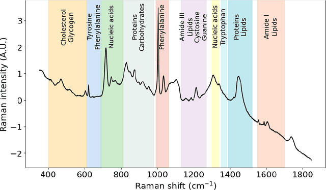Figure 1 for SpecReX: Explainable AI for Raman Spectroscopy