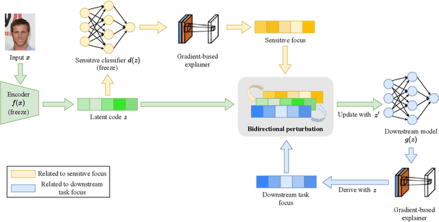 Figure 1 for Model Debiasing via Gradient-based Explanation on Representation