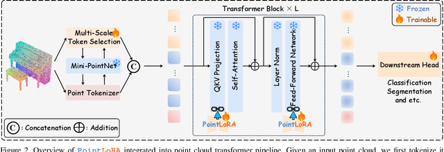 Figure 3 for PointLoRA: Low-Rank Adaptation with Token Selection for Point Cloud Learning