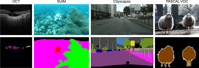 Figure 1 for Full or Weak annotations? An adaptive strategy for budget-constrained annotation campaigns