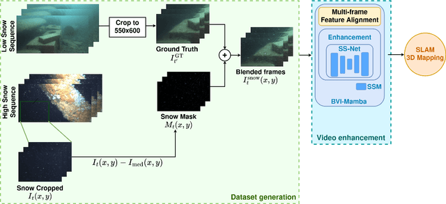 Figure 1 for Marine Snow Removal Using Internally Generated Pseudo Ground Truth
