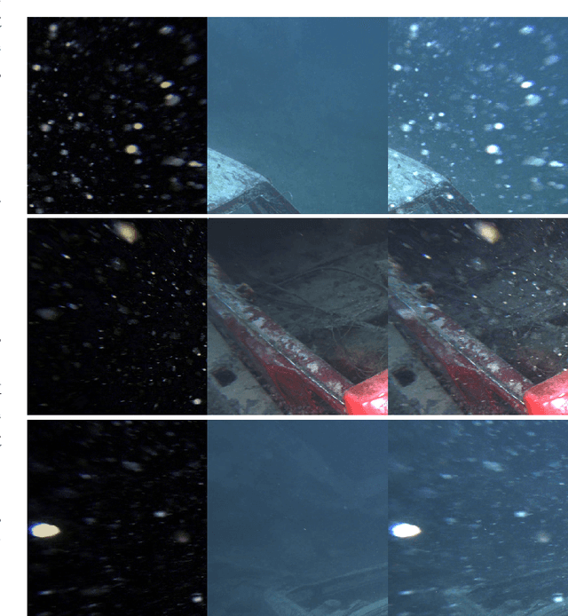 Figure 2 for Marine Snow Removal Using Internally Generated Pseudo Ground Truth