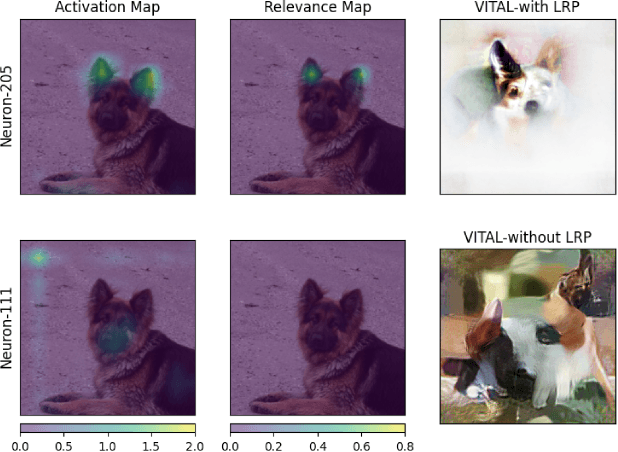 Figure 2 for VITAL: More Understandable Feature Visualization through Distribution Alignment and Relevant Information Flow