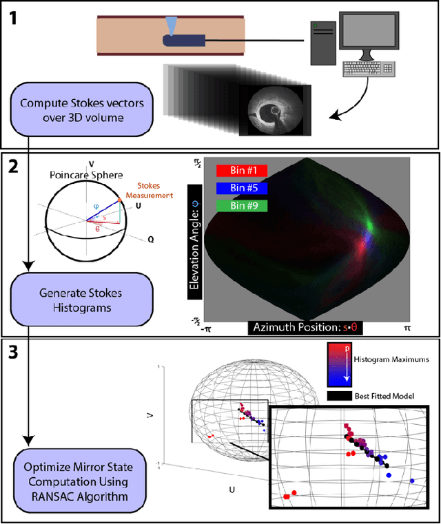 Figure 1 for Single-Input Polarization-Sensitive Optical Coherence Tomography Through a Catheter