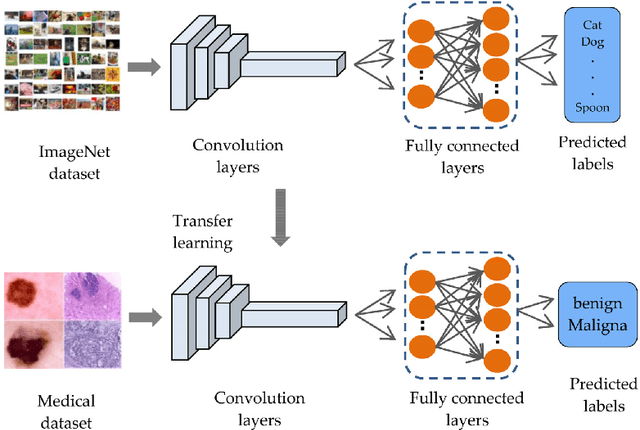 Figure 1 for Artificial Neural Nets and the Representation of Human Concepts