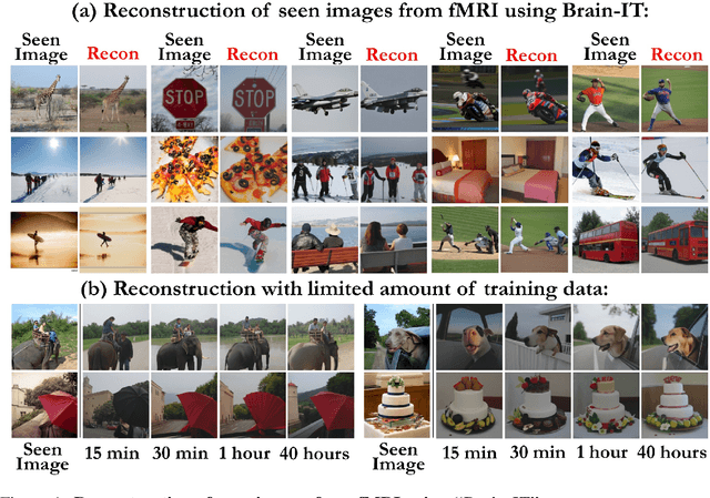 Figure 1 for Brain-IT: Image Reconstruction from fMRI via Brain-Interaction Transformer