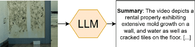 Figure 1 for Can LLMs Create Legally Relevant Summaries and Analyses of Videos?