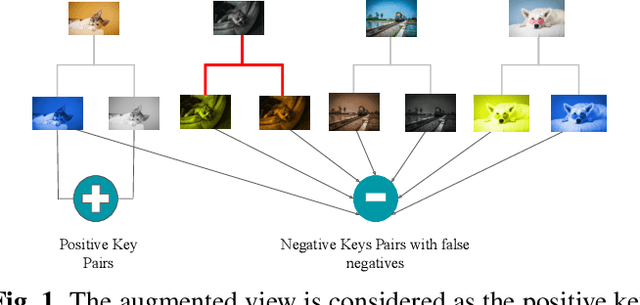 Figure 1 for Transformer-based Clipped Contrastive Quantization Learning for Unsupervised Image Retrieval