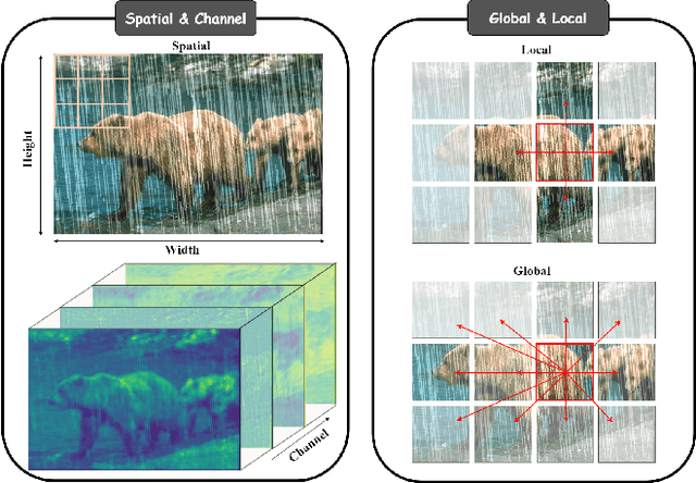 Figure 1 for Cross Paradigm Representation and Alignment Transformer for Image Deraining