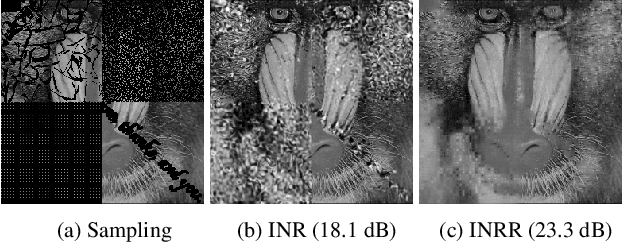 Figure 3 for Regularize implicit neural representation by itself
